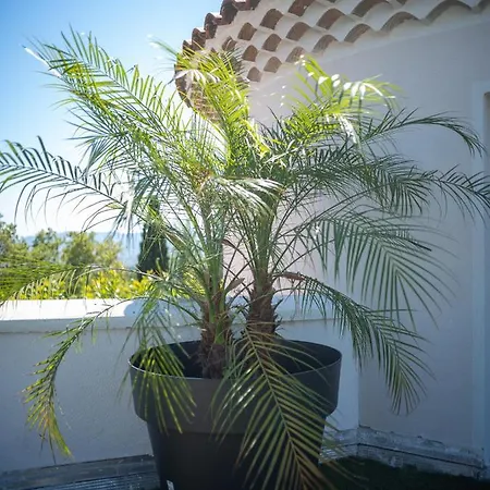 La Bastide De Saint Barnabe - Jacuzzi Terrasse Clim Wifi Parking Petanque Apartment Marseille Exterior photo
